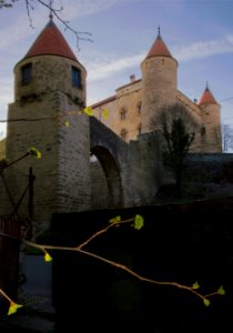 Château de Grandson photo