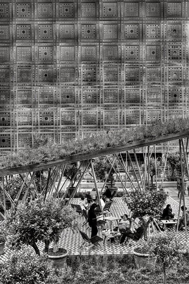 Jardin de l'Institut du Monde Arabe