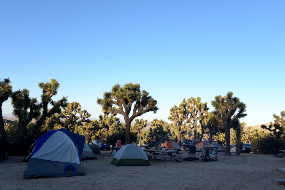 Campsites at Black Rock
