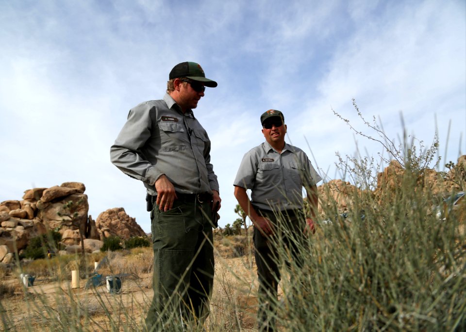 Park staff advise on planting procedures near Hemingway Buttress