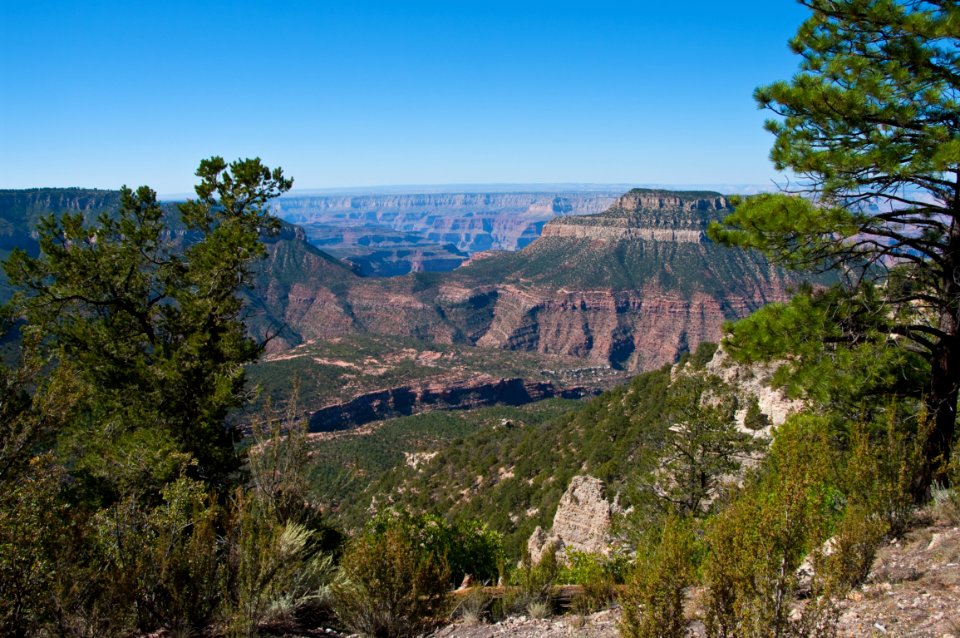 Grand Canyon North Rim