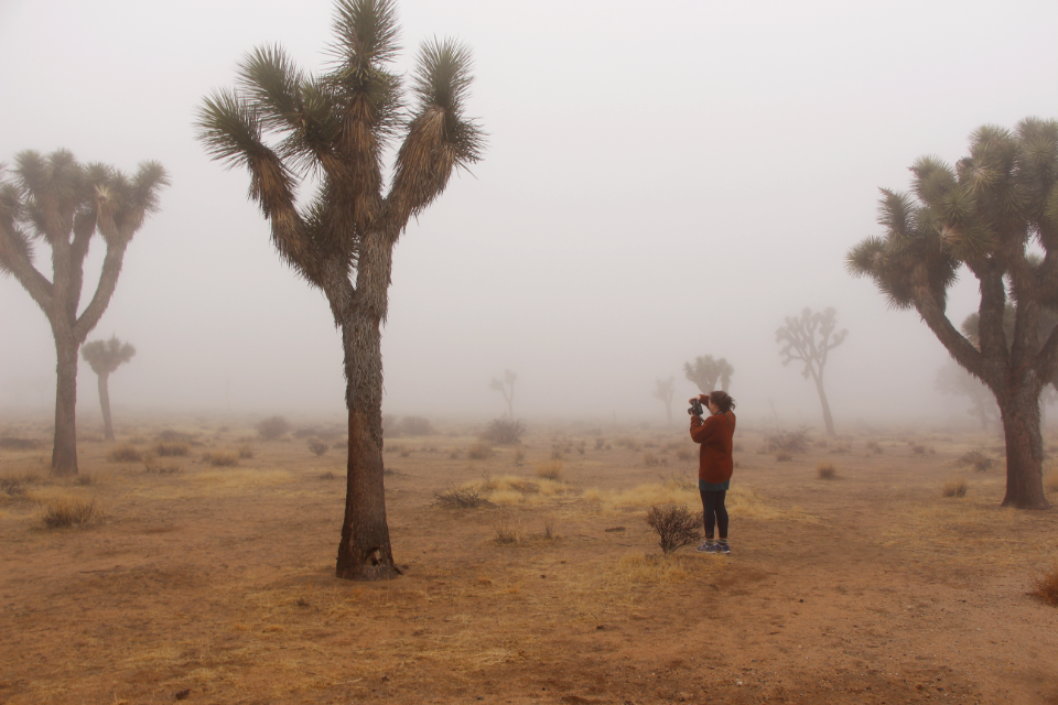 Photographer in the fog