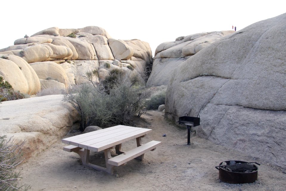 Jumbo Rocks Campground