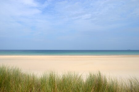 Cornwall st ives reeds