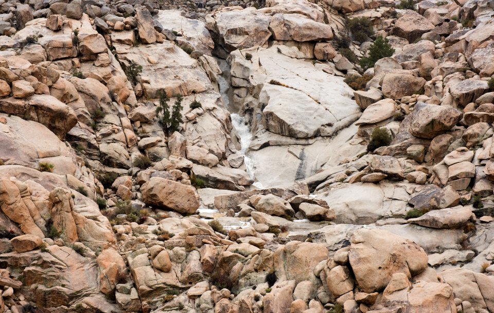 Rattlesnake Canyon in the rain