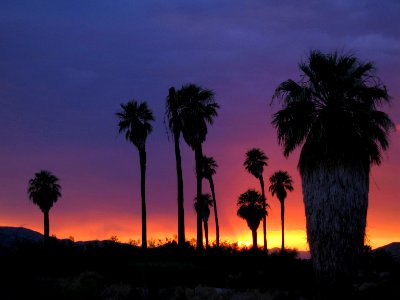 Oasis of Mara photo