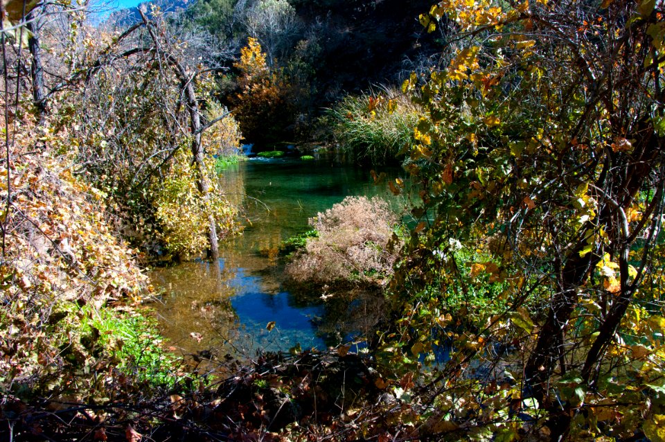 Fossil Springs Wilderness: Springs Area