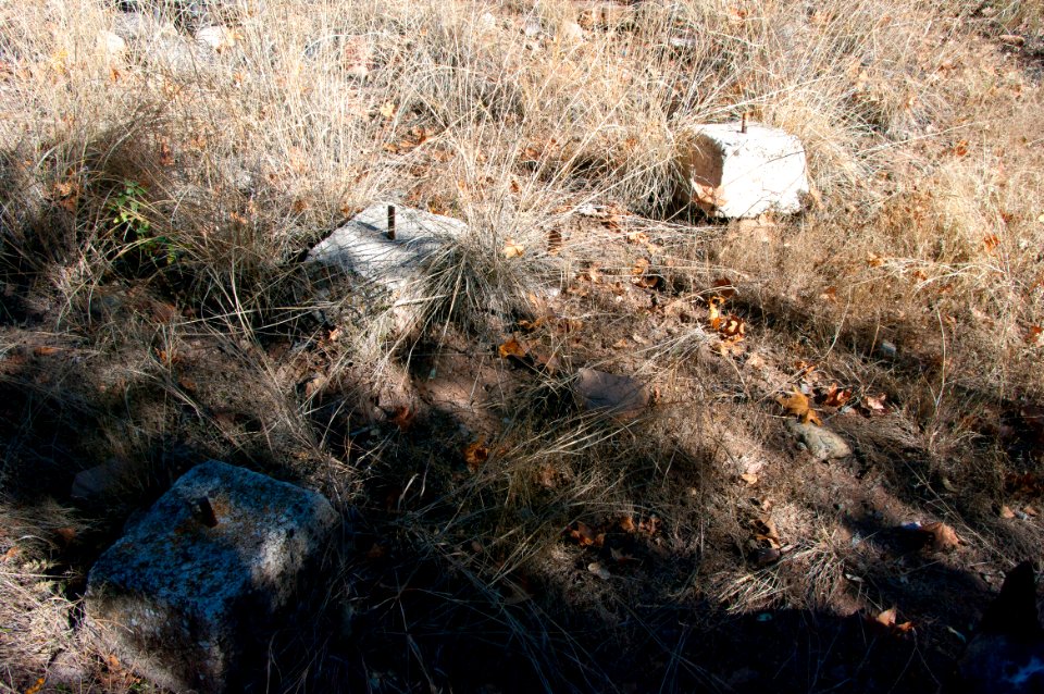 Fossil Springs Wilderness: Springs Area