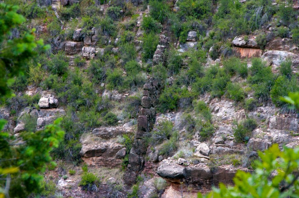 Little L.O. Trail No. 6