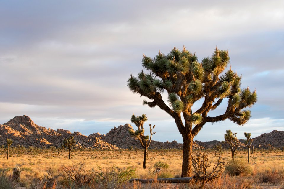 Sunrise near West Entrance