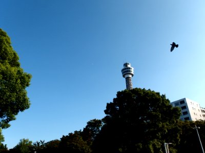 150920-154433-P9200025