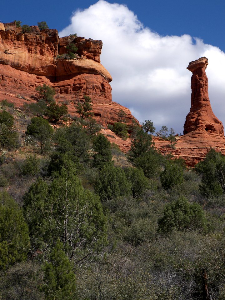 Boynton Canyon Trail