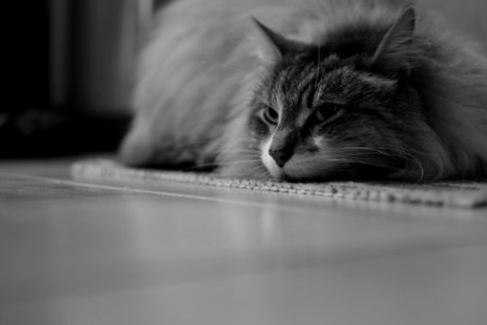 Resting time...