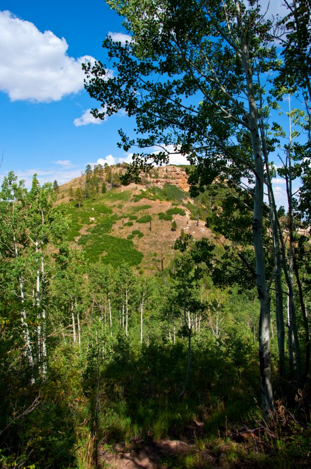 Saddle Mountain Trail