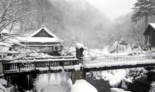 Japan's snow landscape