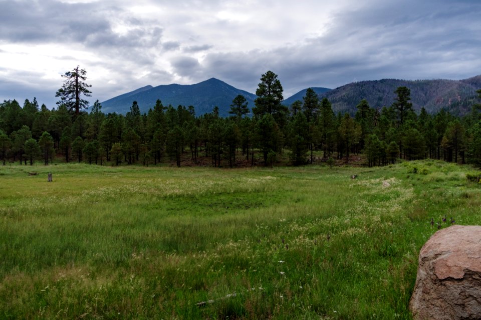 Monsoon Season Explorations
