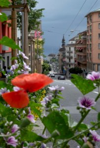 Lausanne