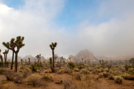 Low lying fog in the Echo T Area
