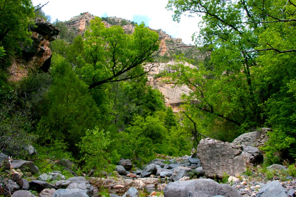 Little L.O. Trail No. 6