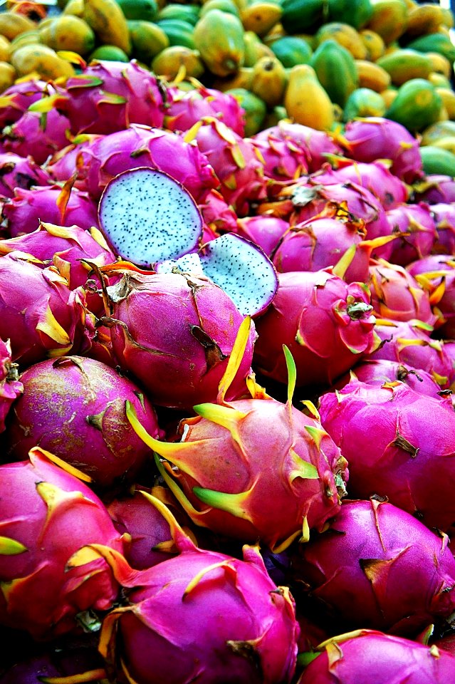Le Pitaya, Le Fruit du Dragon