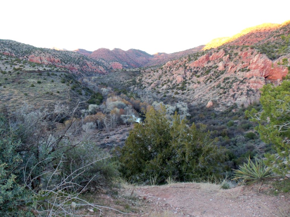 Parsons Trail