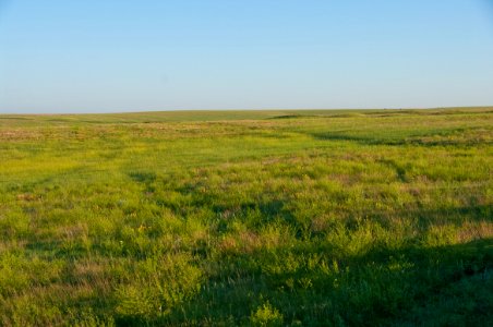 Road Trip: Santa Fe Wagon Wheel Ruts