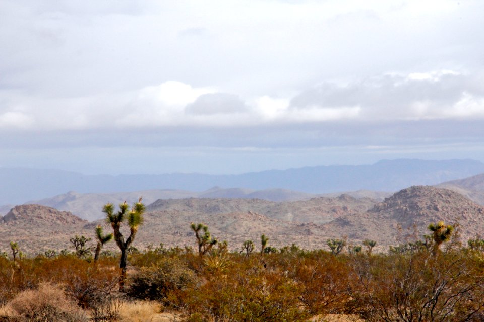 Morongo Valley view from Pinto Wye photo