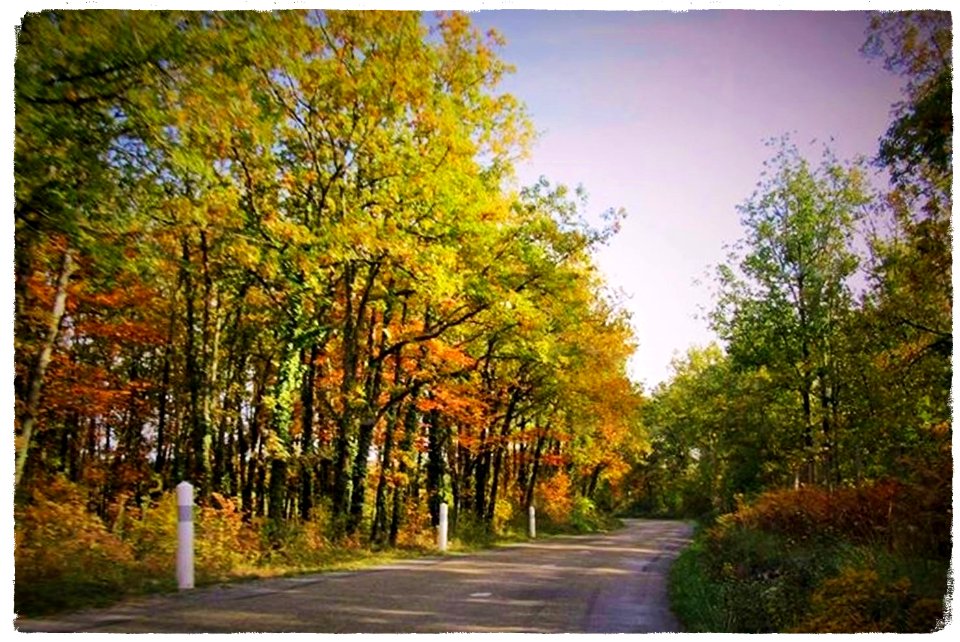Automne sur les routes du Lot (France)