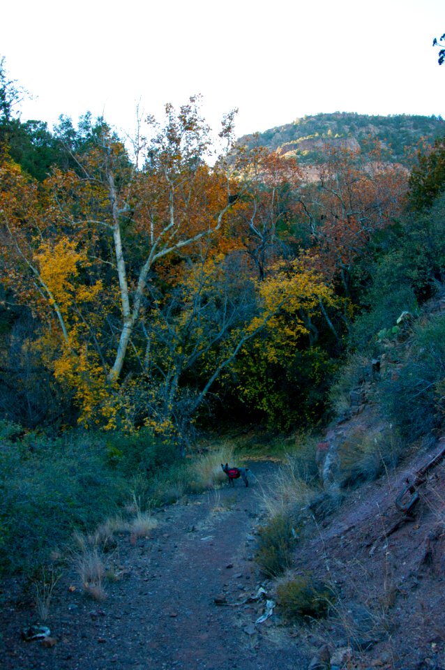Flume Trail