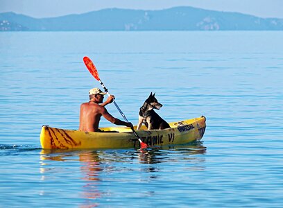 Dog water paddle photo