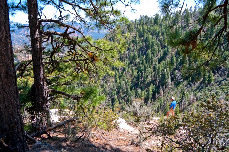 South Pocket Overlook