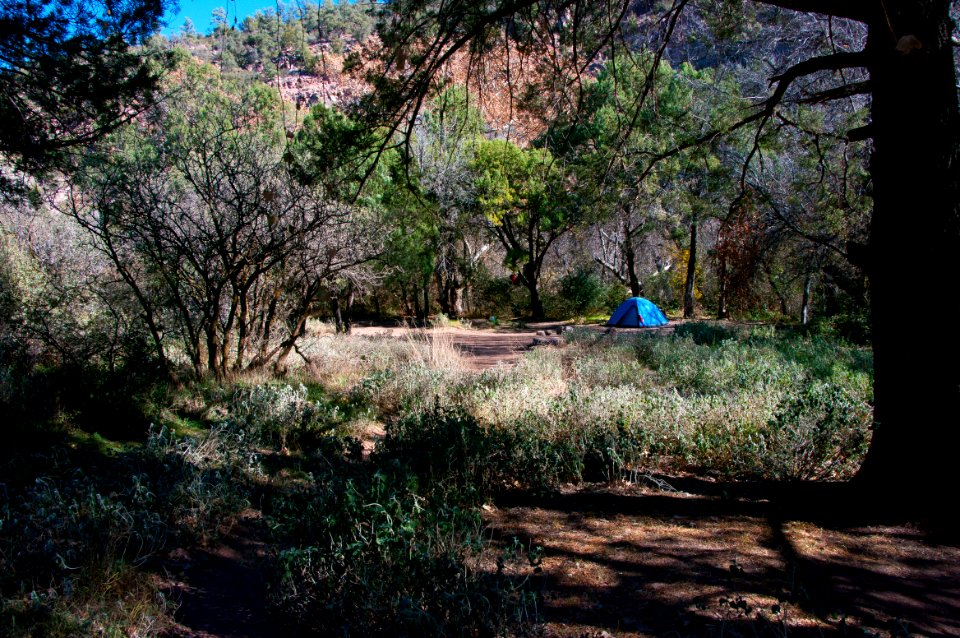 Fossil Springs Wilderness: Springs Area
