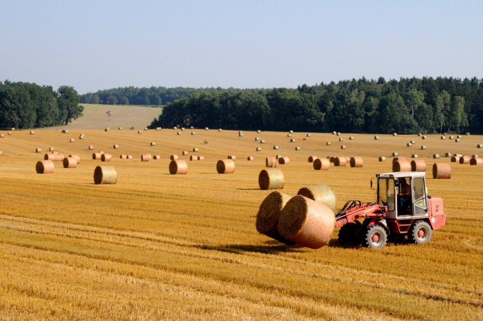 Agriculture field stubble