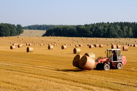 Agriculture field stubble