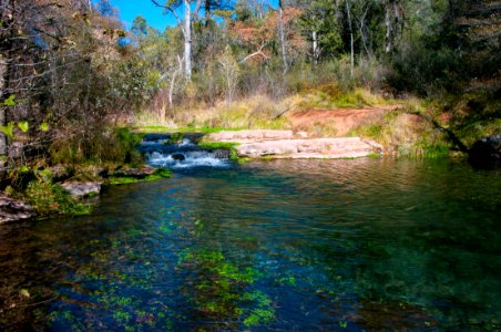Fossil Springs Wilderness: Springs Area