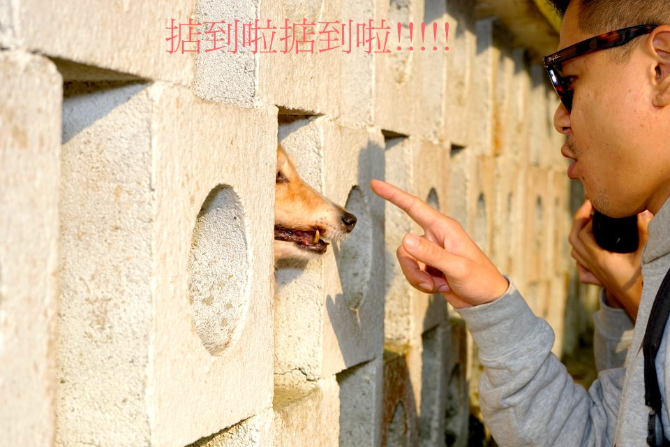  DSC9293 拷貝