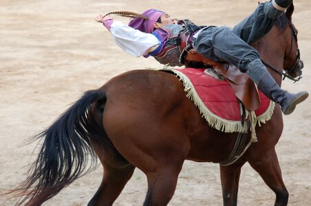 Republic of korea gallery stunts