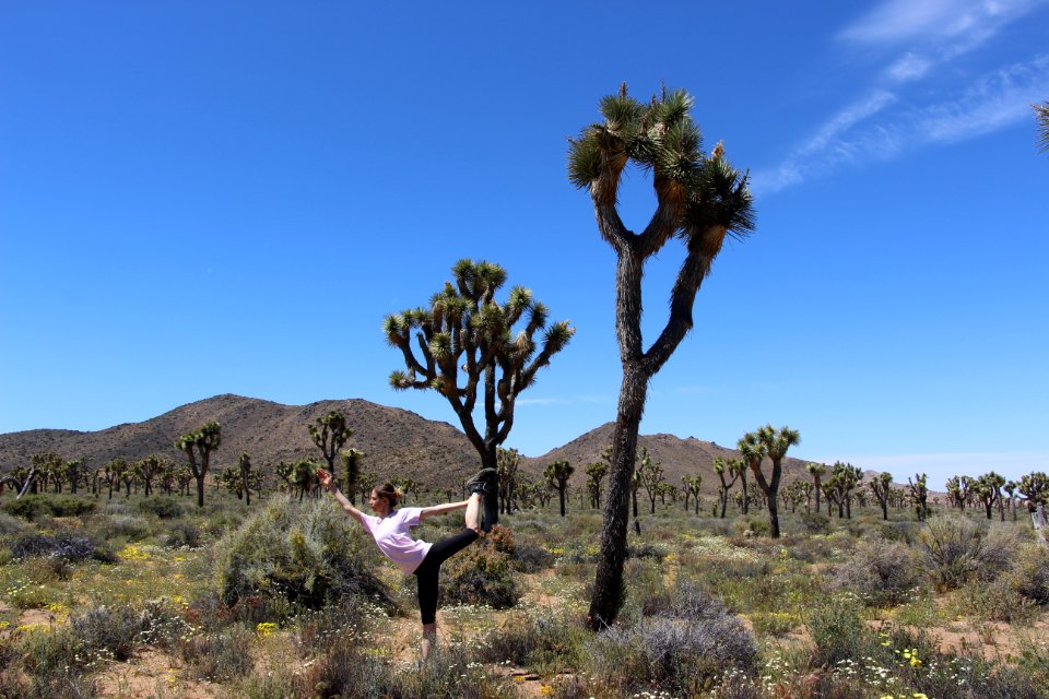 Yoga in Joshua Tree
