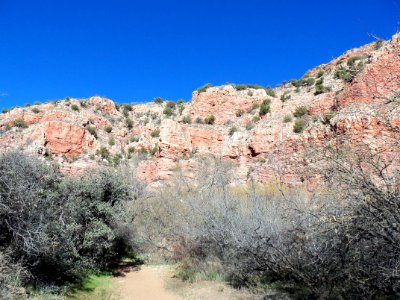 Parsons Trail