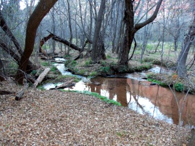 Parsons Trail