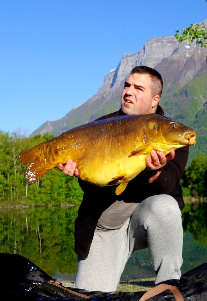 Carpe du lac de Gresy sur Isere