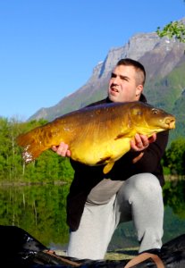 Carpe du lac de Gresy sur Isere photo