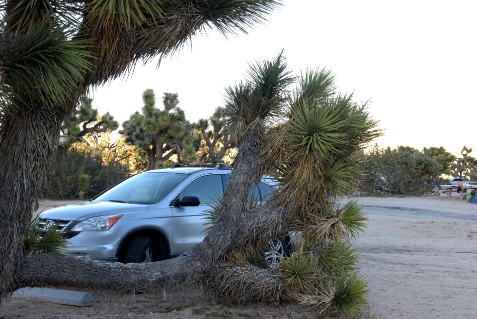 Parking at Black Rock Campground