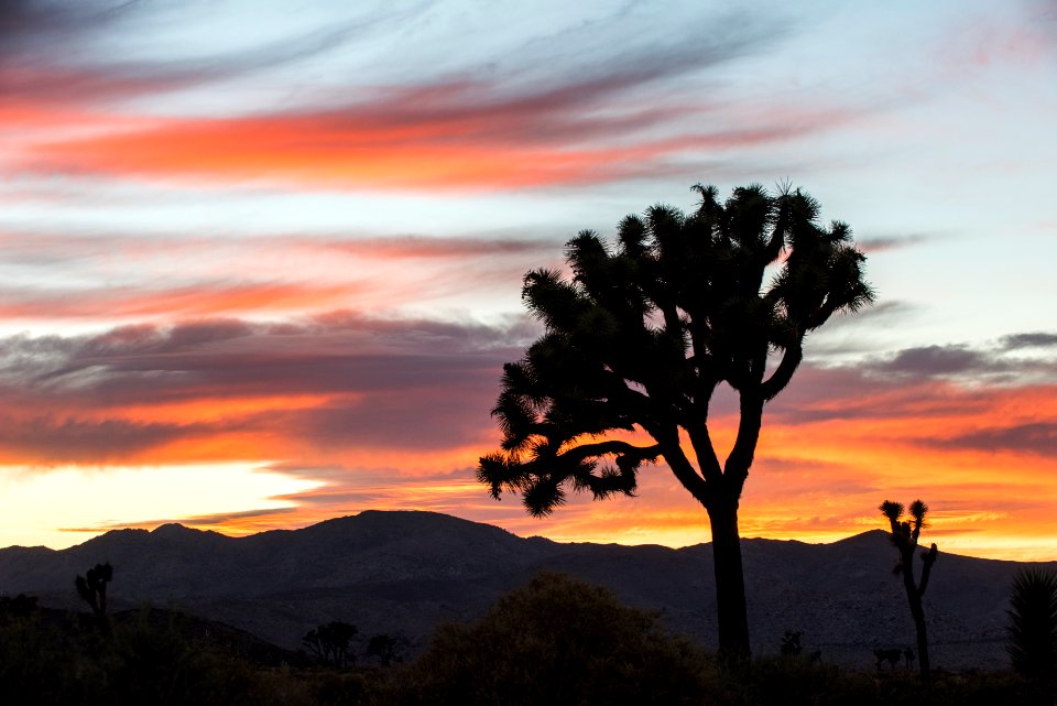 Sunset near Cap Rock