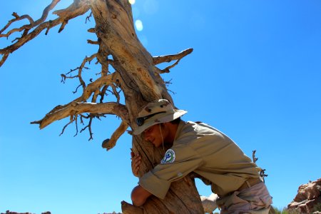 Youth Conservation Corps hugging a tree photo