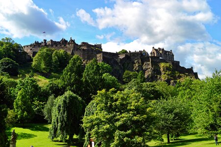Scotland city trees