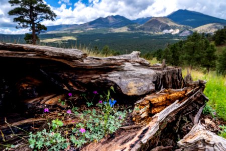 Crater Hike (August 26, 2018)