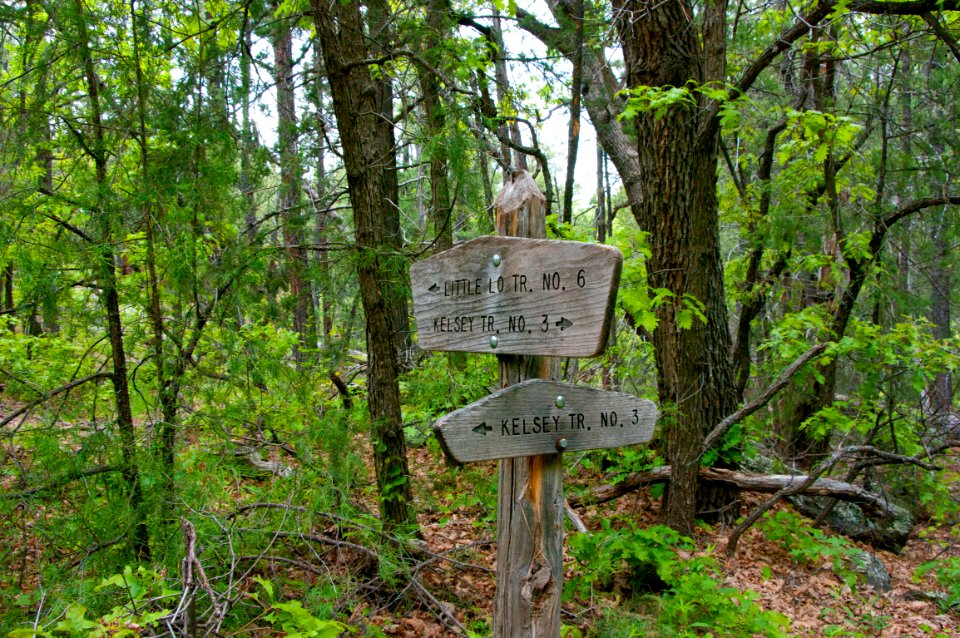 Little L.O. Trail No. 6