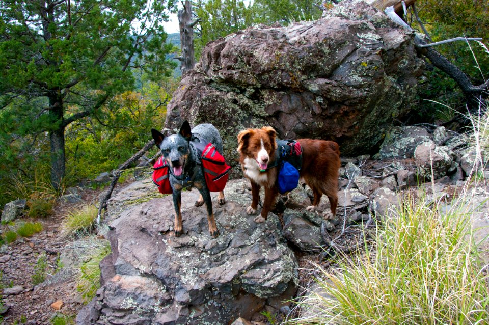 Kelsey Trail No. 3