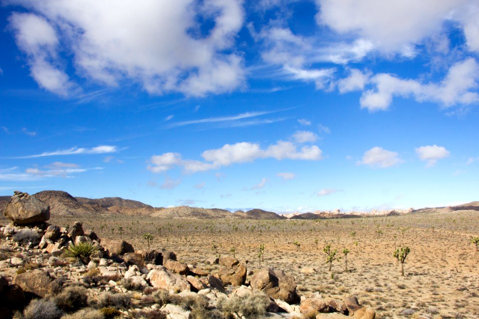 Queen Valley landscape